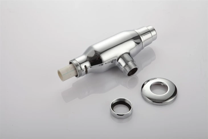 Push Button Toilet Flush Valve For European Market Push Button Toilet Flush Valve For European Market